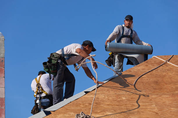 Best Roof Gutter Cleaning  in Alexandria, LA